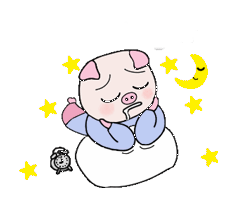 bonne nuit cochon